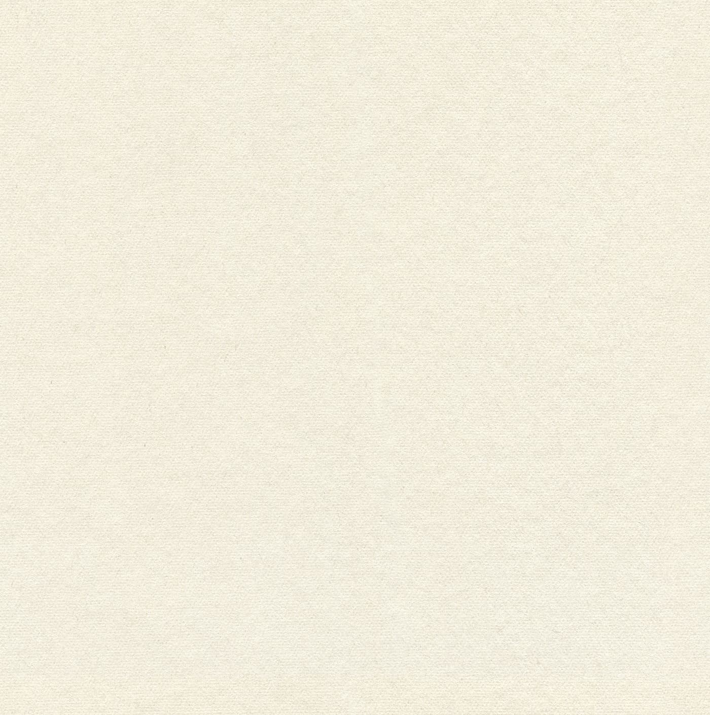 Canvas Texture